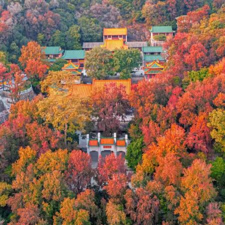 江門+中山2天團·《深秋童話賞紅葉》
保證入住2026年全新開業國際品牌Hawthorn BY WYNDHAM ~新會浩楓溫德姆酒店
全港獨家菜單【(位上)羊肚菌燉大花膠+(位上)花菇扣鵝掌宴】