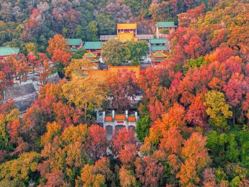 江門+中山2天團·《深秋童話賞紅葉》
保證入住2026年全新開業國際品牌Hawthorn BY WYNDHAM ~新會浩楓溫德姆酒店
全港獨家菜單【(位上)羊肚菌燉大花膠+(位上)花菇扣鵝掌宴】 江門+中山2天團·《深秋童話賞紅葉》
保證入住2026年全新開業國際品牌Hawthorn BY WYNDHAM ~新會浩楓溫德姆酒店
全港獨家菜單【(位上)羊肚菌燉大花膠+(位上)花菇扣鵝掌宴】