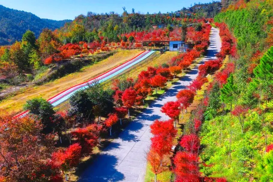 嶺南紅葉世界