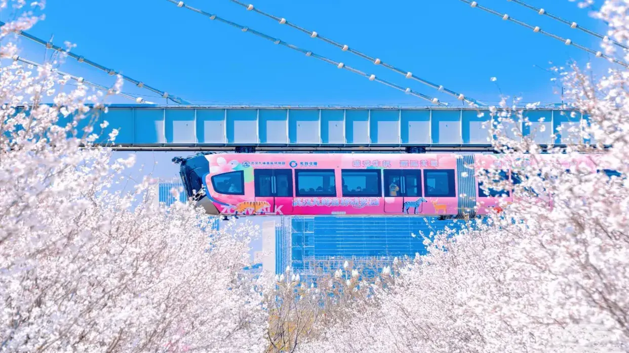 武漢光谷空軌