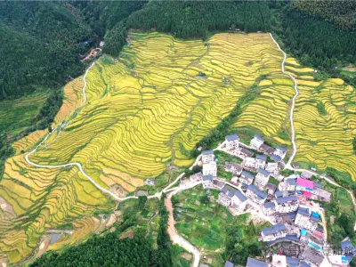 連州3天團·《季節限定~邂逅6大金秋美景》連南金瑤峰度假酒店(連住兩晚,唔使搬行李賞美景) 中國十大最美梯田「歐家金穗梯田」「石漠公園銀杏林」廣東十大最美瑤寨古村落「千年瑤寨」 「魚水風景區」