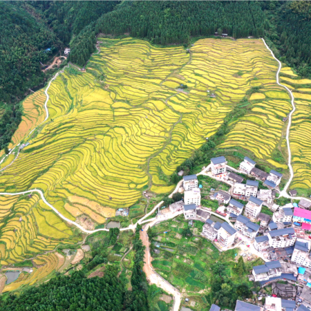 連州3天團·《季節限定~邂逅6大金秋美景》連南金瑤峰度假酒店(連住兩晚,唔使搬行李賞美景) 中國十大最美梯田「歐家金穗梯田」「石漠公園銀杏林」廣東十大最美瑤寨古村落「千年瑤寨」 「魚水風景區」