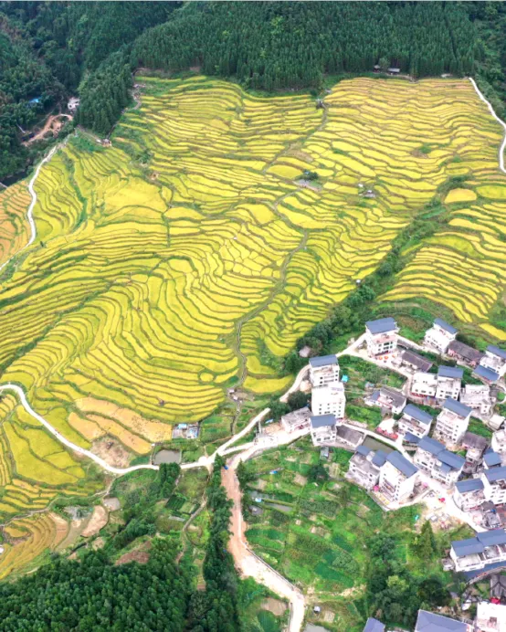 連州3天團·《季節限定~邂逅6大金秋美景》連南金瑤峰度假酒店(連住兩晚,唔使搬行李賞美景) 中國十大最美梯田「歐家金穗梯田」「石漠公園銀杏林」廣東十大最美瑤寨古村落「千年瑤寨」 「魚水風景區」