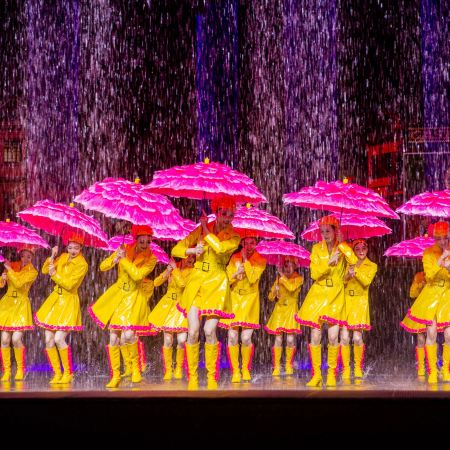佛山2天團·「佛山宋城•廣東千古情」(重本包門票）+ 順德私房菜大賽冠軍李國章飯店【新派私房菜宴】