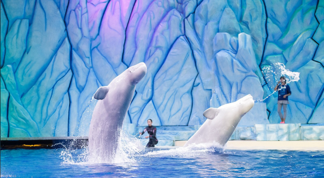 珠海長隆海洋王國