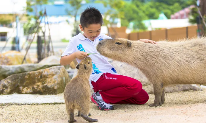 那須動物王國飼育園區