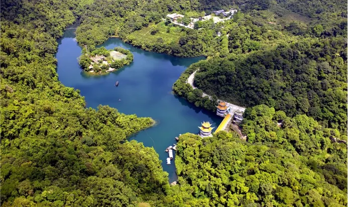鼎湖山常綠山林與溪谷