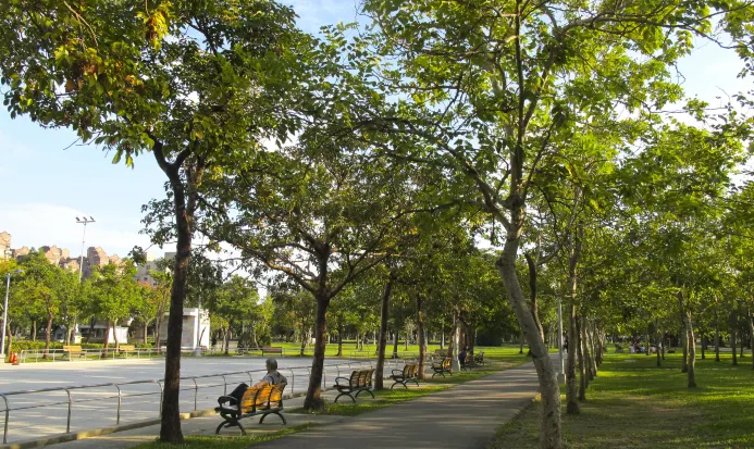 台北大安森林公園綠意盎然